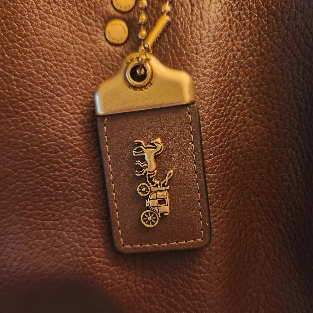 Coach Rouge 39 In Maple - Picture 6 of 9